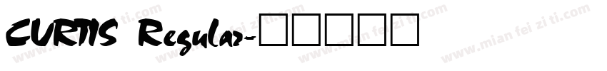 CURTIS Regular字体转换